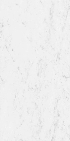 Marmorea Carrara Porcelain Tile 12x24 - CASE