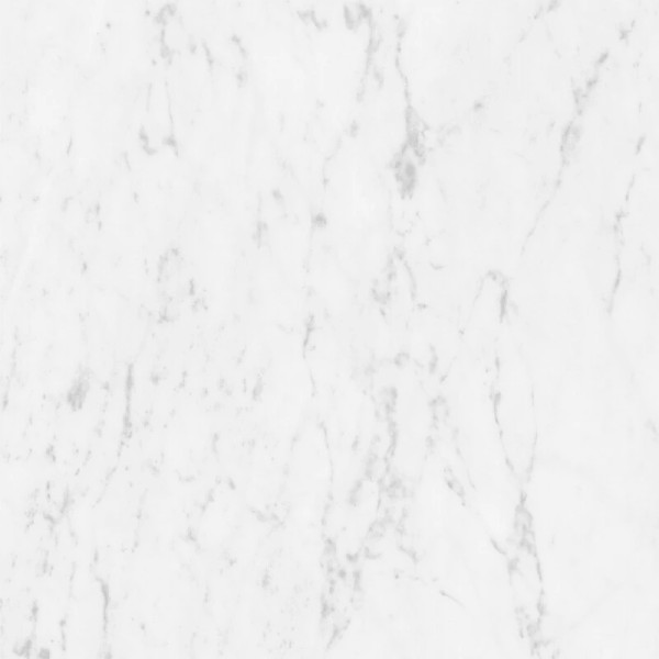 Marmorea Carrara Polished Porcelain Tile 24x24 - CASE