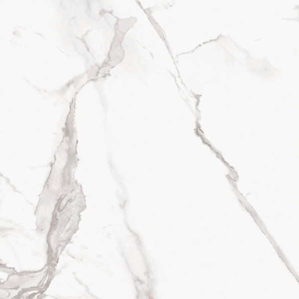 Marmorea Estatuario Porcelain Tile 24x24 - CASE