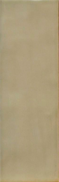 Gisele Mare Seashore Ceramic Tile 2.5x8 - CASE